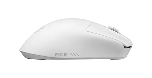 jX9bG-oxh0iDKSXYnJ-RLA.c-r.jpg?
