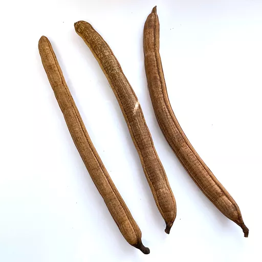 Stick Fruit x 3