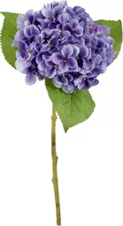IT393805.jpg