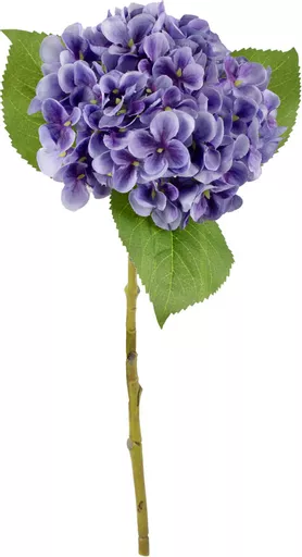 IT393805.jpg