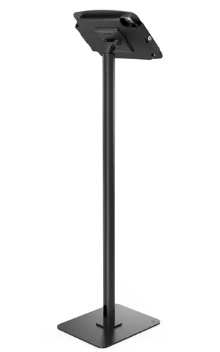 wP8R0EulkUqylZjM9nLpNg.c-r.jpg?