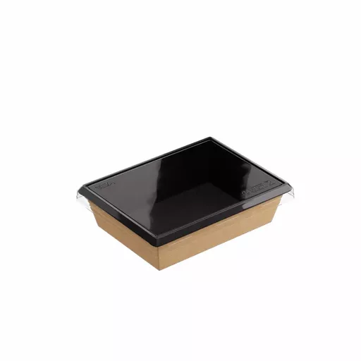 EA20103.WebP