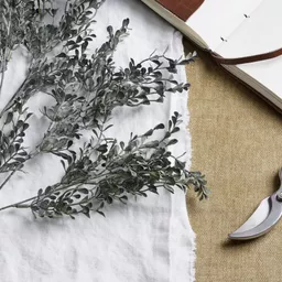 Screenshot 2026-01-28 at 11.21.18.jpg