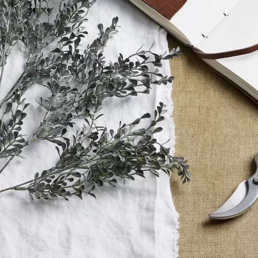 Screenshot 2026-01-28 at 11.21.18.jpg