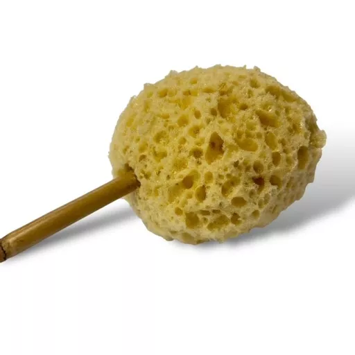 Sponge on Stick 2.jpg