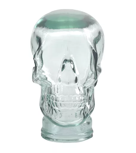 Clear Glass Display Skull