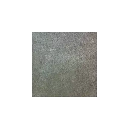 1519221318-97110500.jpg?