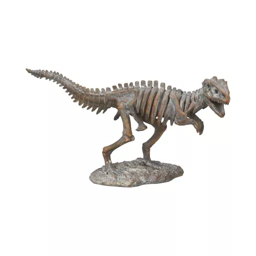 Tyrannosaurus Rex Skeleton