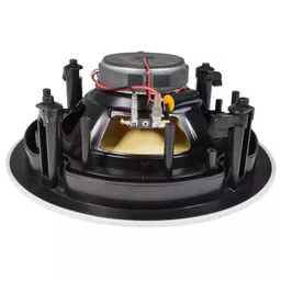 1704802882-52001900.jpg?