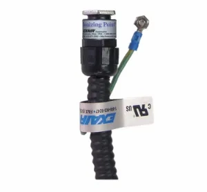 Ionizing Point
