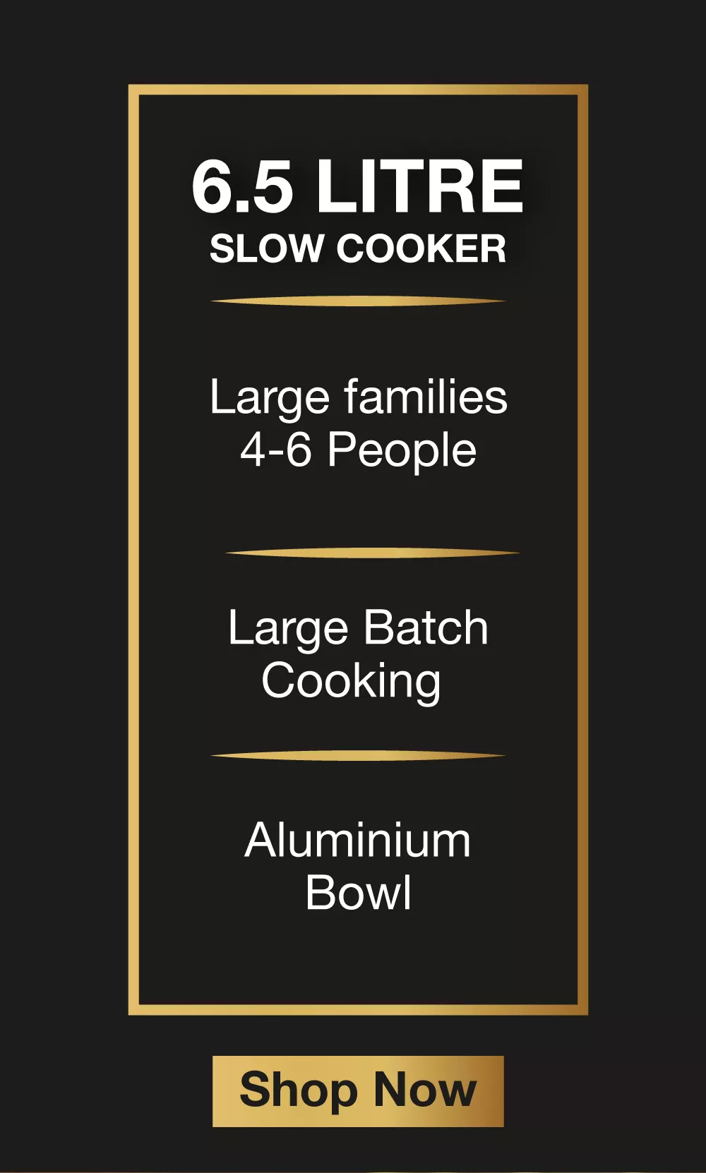 Slow Cooker Page Desktop-12.jpg