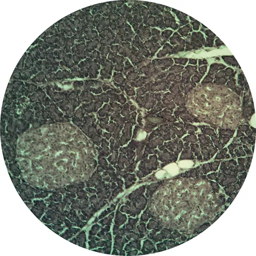 FINHC1006586.png
