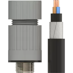 054600-MAIN.png