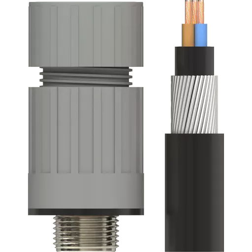 054600-MAIN.png