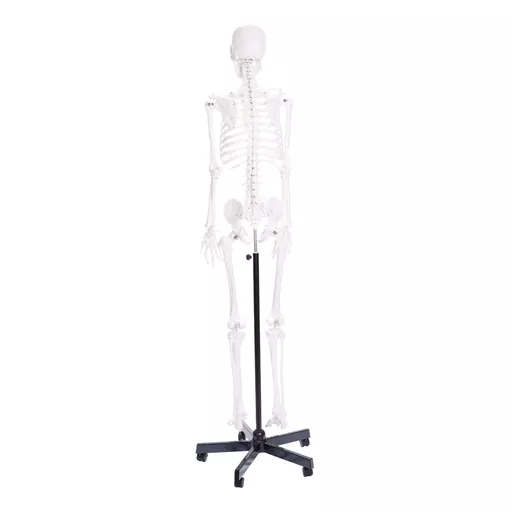 FINHC1146736.png
