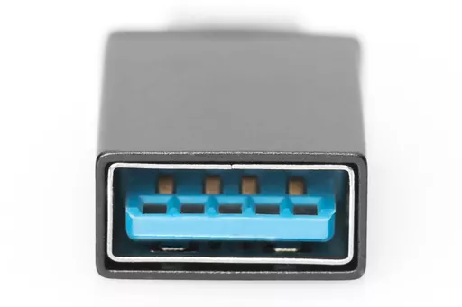 qqB9PVBqtEqHkFtp6UW2gw.c-r.jpg?