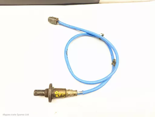 2ac59f25-b82f-4306-bd9c-b1a566778c11.jpeg?