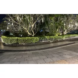 1718886493-28459100.jpg?