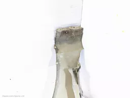 c32d8f9d-d88a-481a-885a-afb8c2fd0b1f.jpeg?