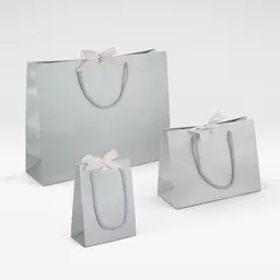 Metallic-Silver-Bag-group.jpg