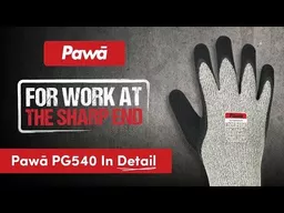 pg540_back.jpg?