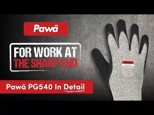 pg540_back.jpg?