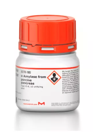 a-Amylase from porcine pancreas