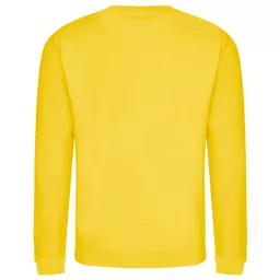 AWD_JH030JH30_SunYellow_Back.png