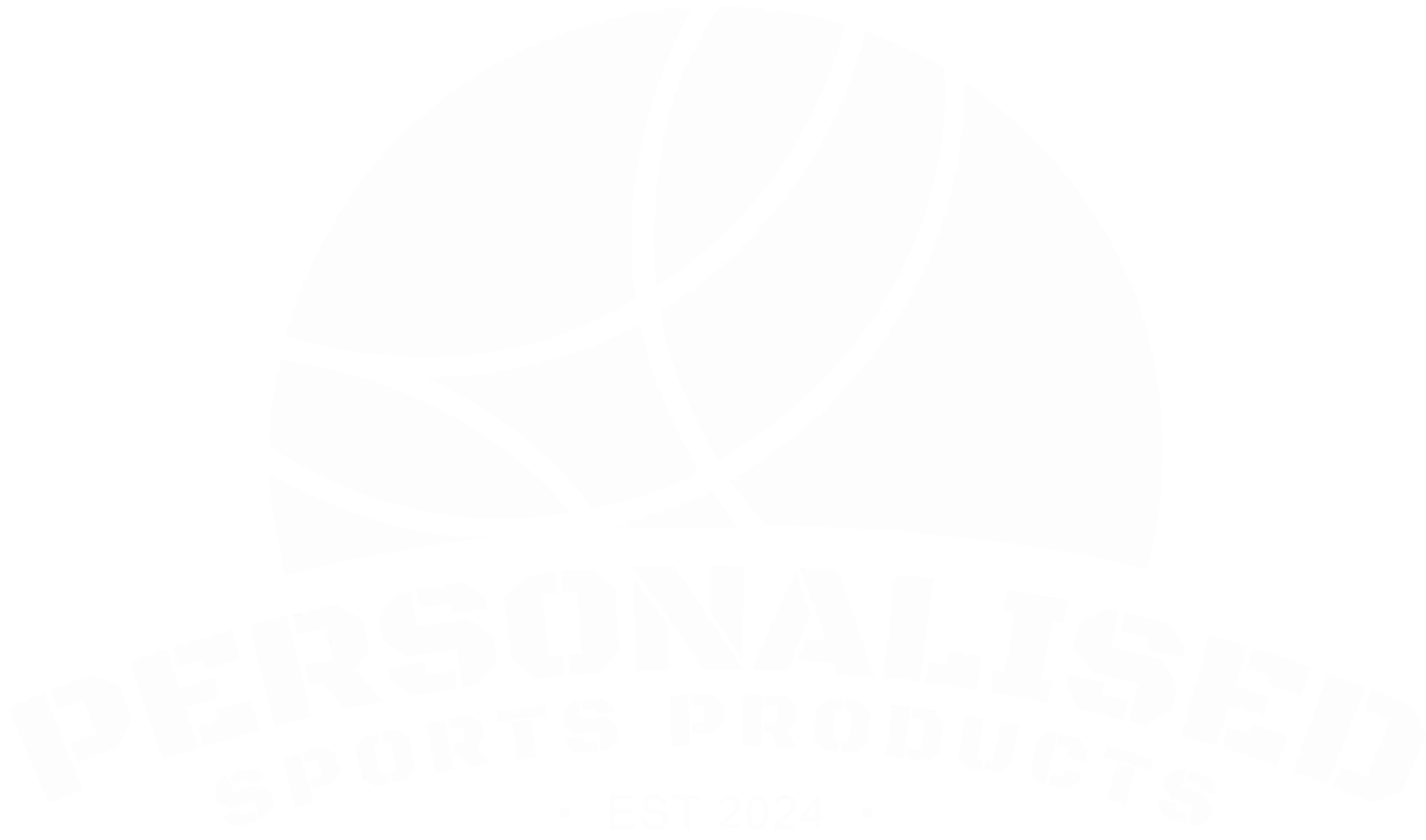 PSP Footer Logo.webp