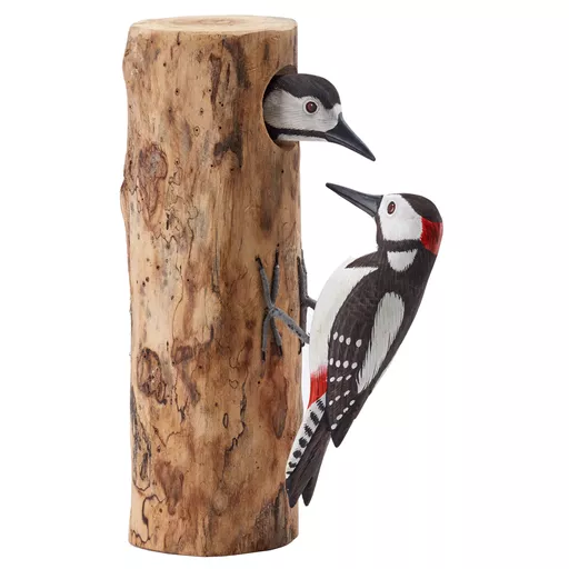 Double Spotted Woodpeckers