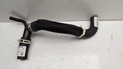 9d80e791-f4e1-4c13-809d-d8f0236943db.jpeg?