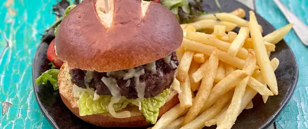 Caramelised Onion Beef Burgers with Fries