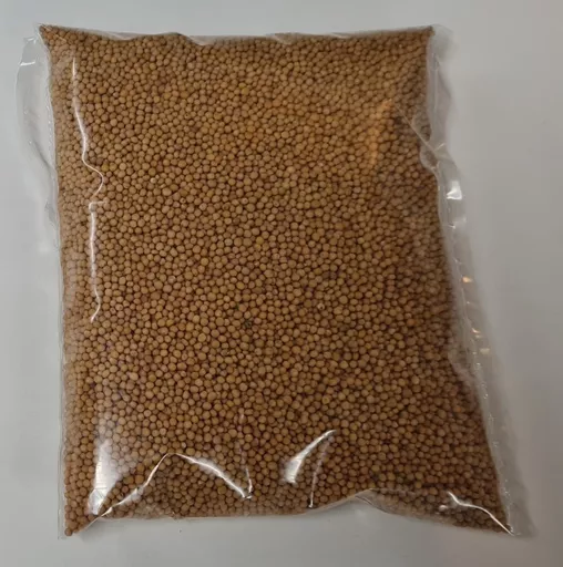 mustard-seeds-scaled.jpg