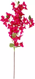 IT393852.jpg
