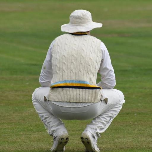 cricketer-waiting.jpg