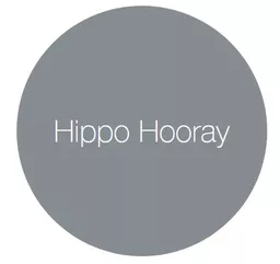 Earthborn Claypaint - Hippo Hooray