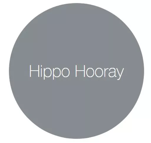 Earthborn Claypaint - Hippo Hooray