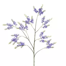 Sea Lavender.jpg