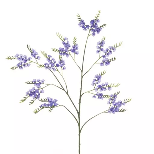Sea Lavender.jpg