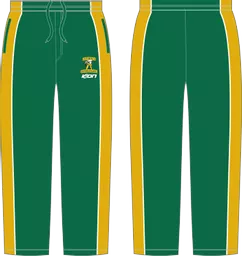 cricket pant-2.png