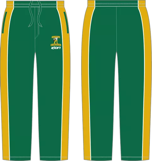 cricket pant-2.png