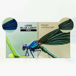 bojGujuMD0KlX3Shou0CFg.c-r.jpg?