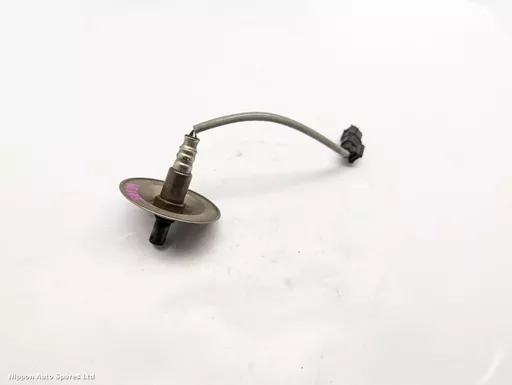 0b6a9c1b-c5b7-4b12-aeb6-2e6b38fee39b.jpeg?