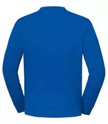 SS151%20ROY%20BACK.jpg?