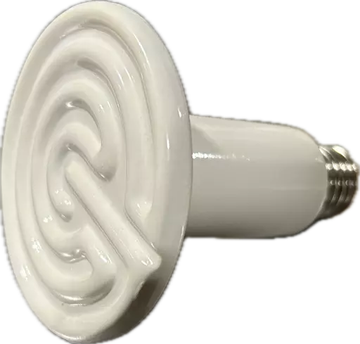 Ceramic heat lamp bulb