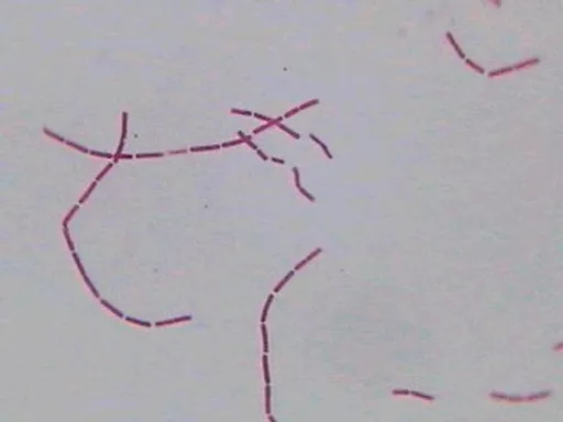 FINHC1006381.png
