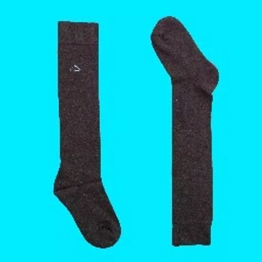 welly socks.jpg