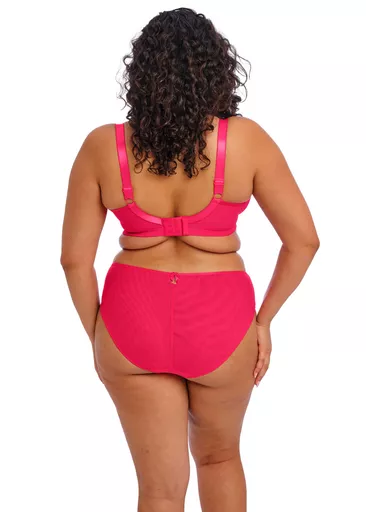 Elomi Teagan High Leg Brief Azalea.jpg
