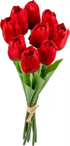 IT393847.jpg