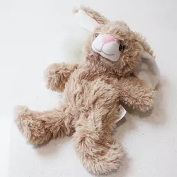 Bunny-Unstuffed.jpg